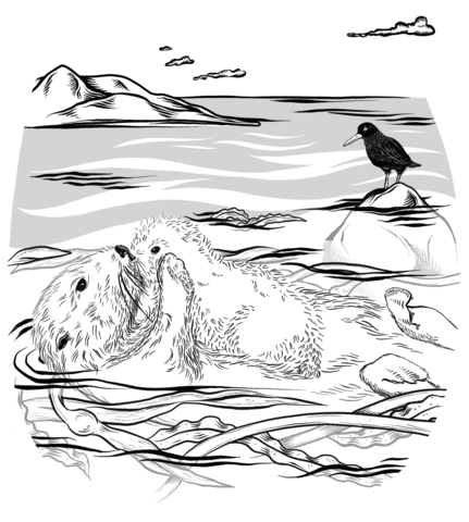 Sea Otter With Pup Coloring Page